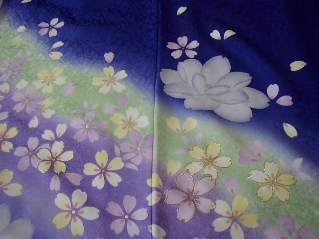 振袖レンタル1　（京友禅に暈かし染桜道長）5